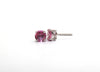 Pink Sapphire Earrings In 14K White Gold