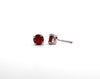 Ruby Stud Earrings in 14k White Gold
